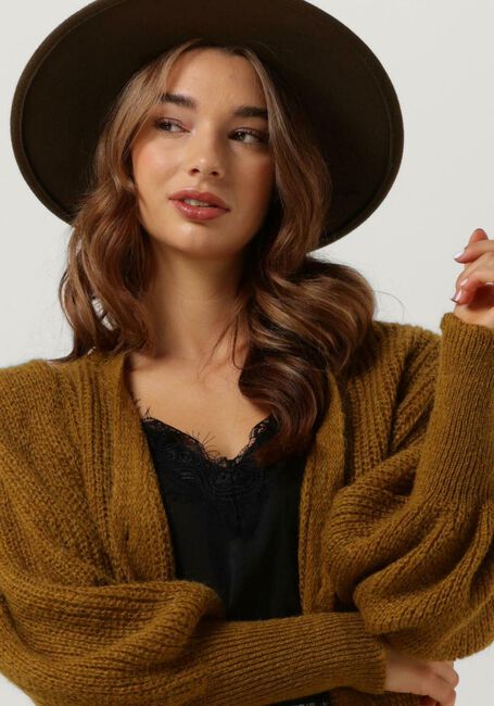 Gele FREEBIRD Trui LAVIE CARDIGAN - large