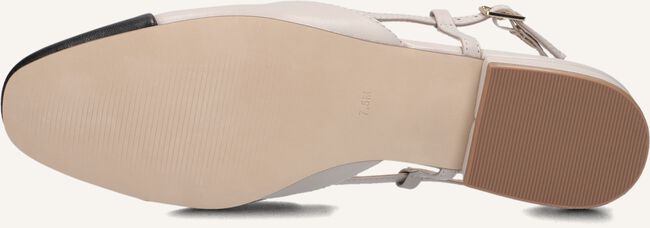 Zand STEVE MADDEN  BELINDA Zand STEVE MADDEN  BELINDA - large