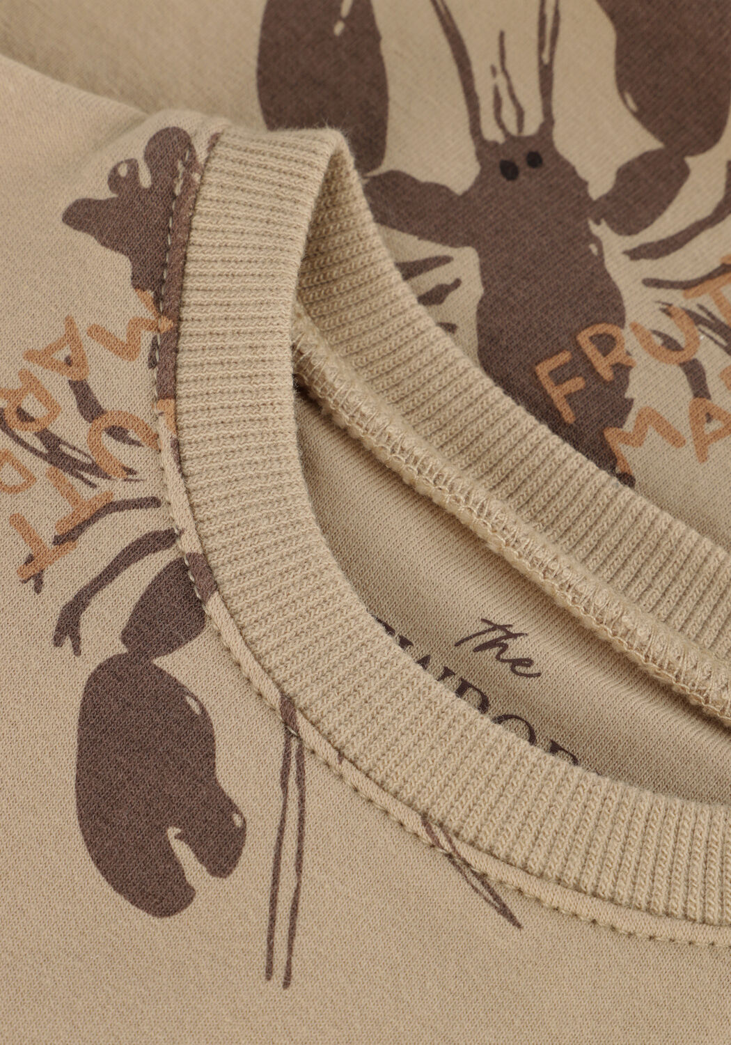 Z8 Chandail FRANCO en beige - large