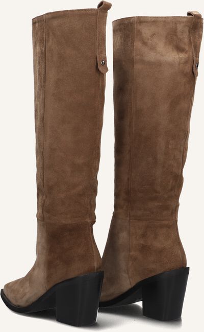 Taupe BLASZ  12 Taupe BLASZ  12 - large