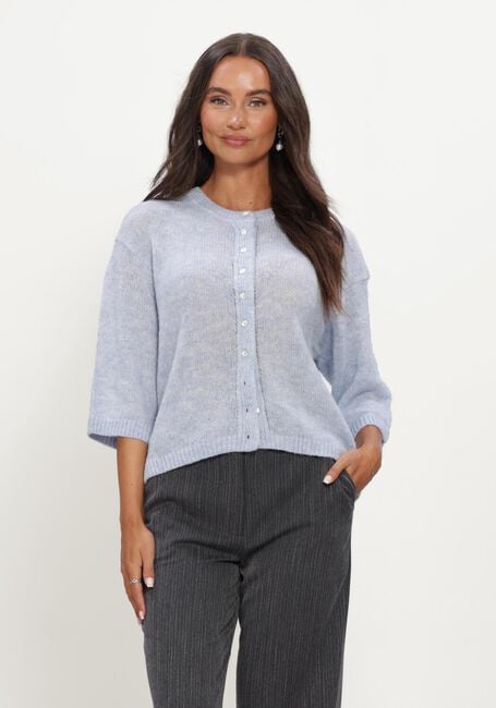 Blauwe MODSTR&Ouml;M Truien/vesten BAILORMD CARDIGAN - large
