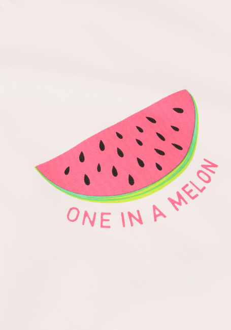 Witte YDENCE T-shirt T-SHIRT ONE IN A MELON - large