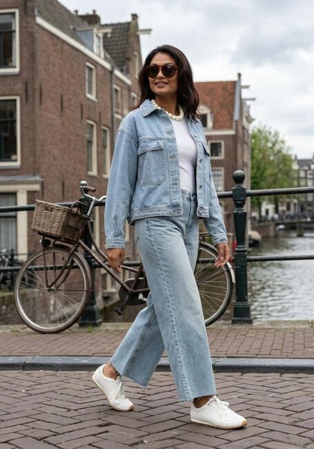 Lichtblauwe CIRCLE OF TRUST Jeans BOSTON DNM - large