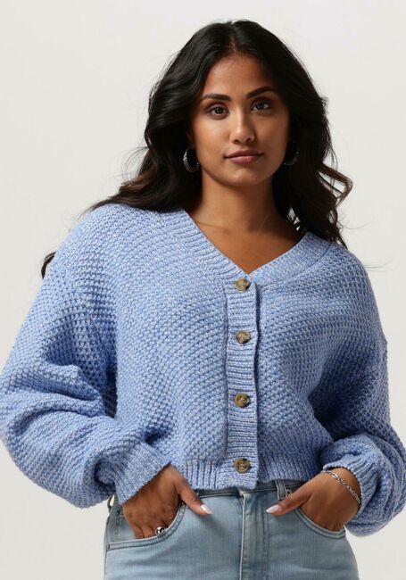 ANOTHER LABEL Gilet ZHOUR KNITTED CARDIGAN L/S en bleu - large