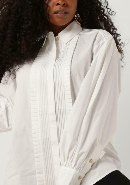 Witte JOSH V  BOBBI - large