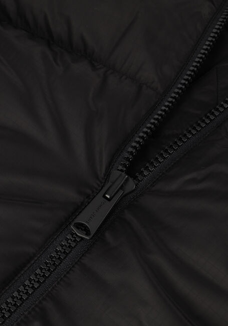 Zwarte TOMMY JEANS Gewatteerde jas TJW ALASKA PUFFER EX Zwarte TOMMY JEANS Gewatteerde jas TJW ALASKA PUFFER EX - large