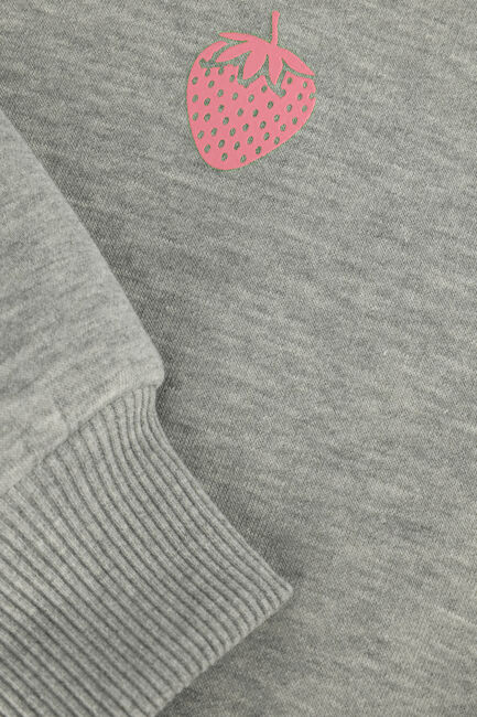 Grijze SOFIE SCHNOOR Sweater G231214 - large