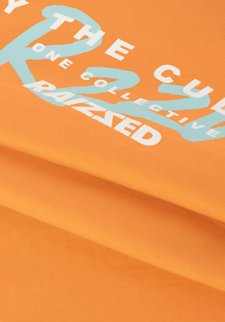 RAIZZED T-shirt SUNRAY en orange - large