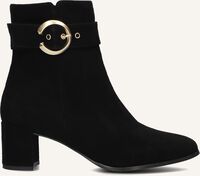 NOTRE-V 8552 - medium