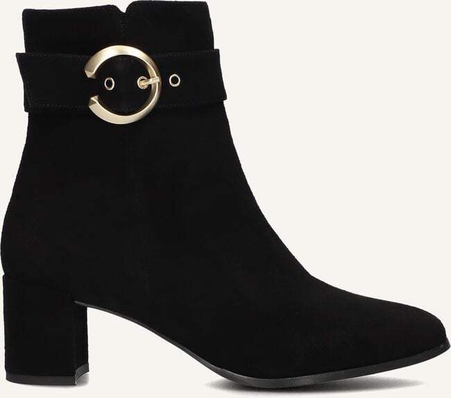 NOTRE-V 8552 NOTRE-V 8552 - large