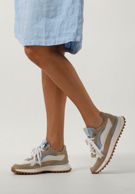 FLORIS VAN BOMMEL Baskets basses SFW-10079 en taupe - large