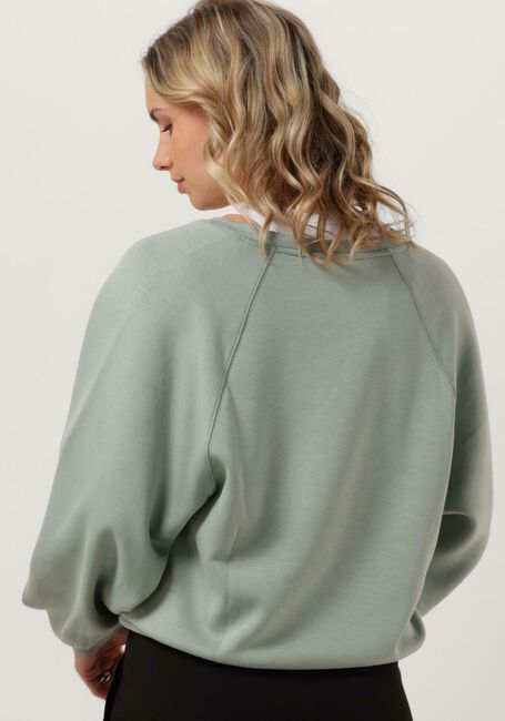 Groene MSCH COPENHAGEN Sweater MSCHNELINA IMA Q RAGLAN V SWEATERSHIRT - large