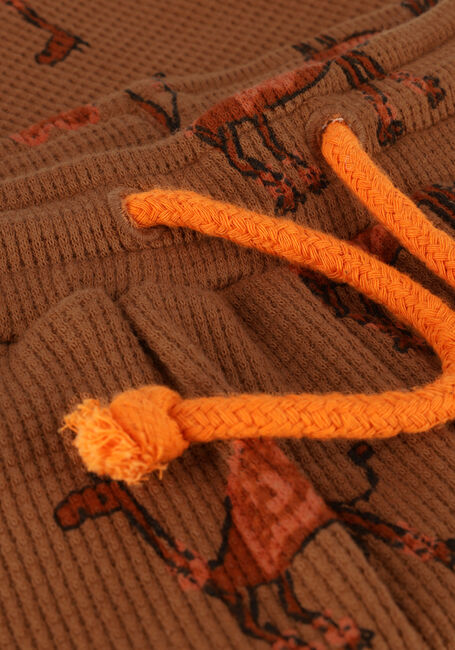 Camel AMMEHOELA Korte broek AM.APOLLO.18 - large