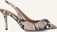 Bruine KURT GEIGER LONDON  BELGRAVIA HIGH Bruine KURT GEIGER LONDON  BELGRAVIA HIGH - medium