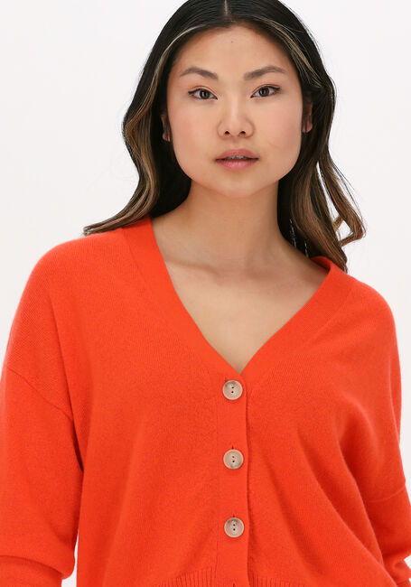 Oranje NOT SHY Vest JUANA - large