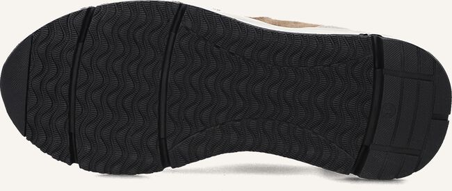 Taupe NUBIKK Sneakers DUSK MARINE JR Taupe NUBIKK Sneakers DUSK MARINE JR - large