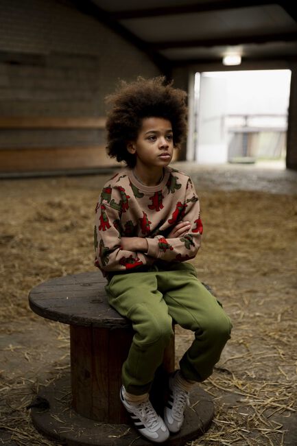 Camel AMMEHOELA Sweater ROCKY - large