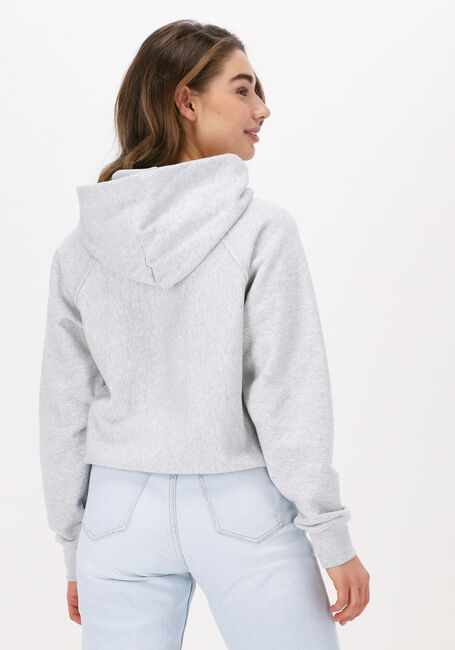 Lichtgrijze CHAMPION Trui HOODED SWEATSHIRT 115110 - large