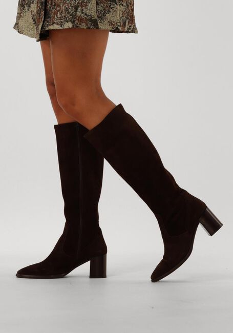 Bruine BLASZ  106 - large