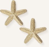 NOTRE-V Boucles d'oreilles EARRING SEA STAR Doré - medium