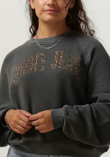TOMMY JEANS Pull TJW RLX LEO CREW Gris foncé - large