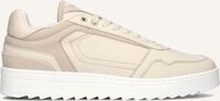 Beige NUBIKK Sneakers CLIFF CANE Beige NUBIKK Sneakers CLIFF CANE - medium