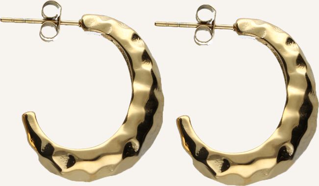 NOTRE-V Sieraad OORBEL GEBUTST  NOTRE-V Sieraad OORBEL GEBUTST - large