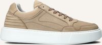 Taupe MAZZELTOV Sneakers 12016 - medium