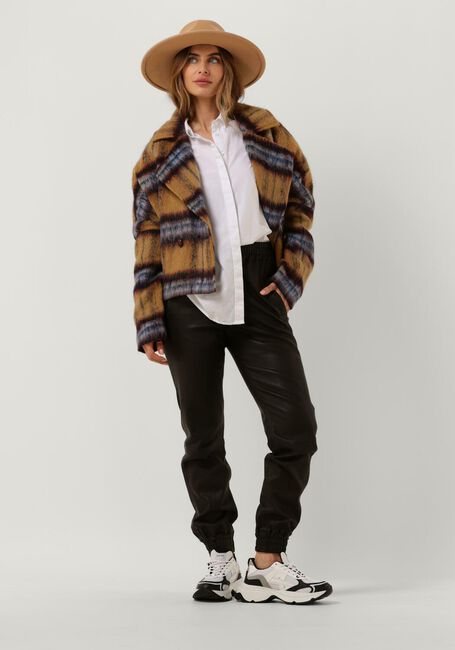 Camel IBANA Jack CHECKERD - large