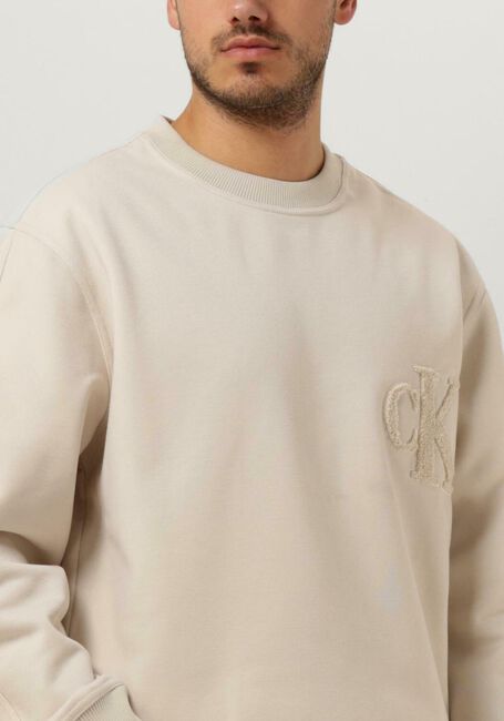 CALVIN KLEIN Chandail CK CHENILLE CREW NECK Blanc - large