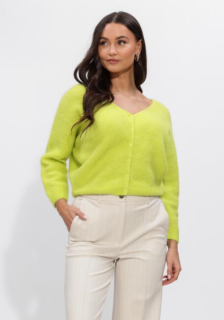 Groene BEAUMONT Vest PENNY CARDIGAN - large