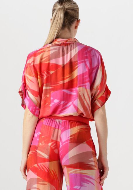 Fuchsia CAROLINE BISS  1688 - large