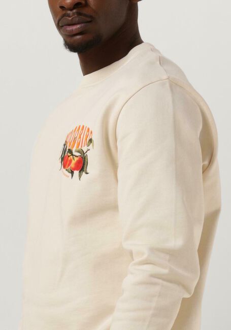 WOODBIRD Chandail JACS PEACH CREW en beige - large
