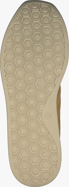 Camel VIA VAI Lage sneakers MILA BOW - large
