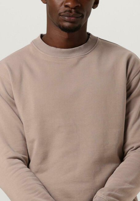 PUREWHITE Pull CREWNECK WITH BIG BACK PRINT en taupe - large