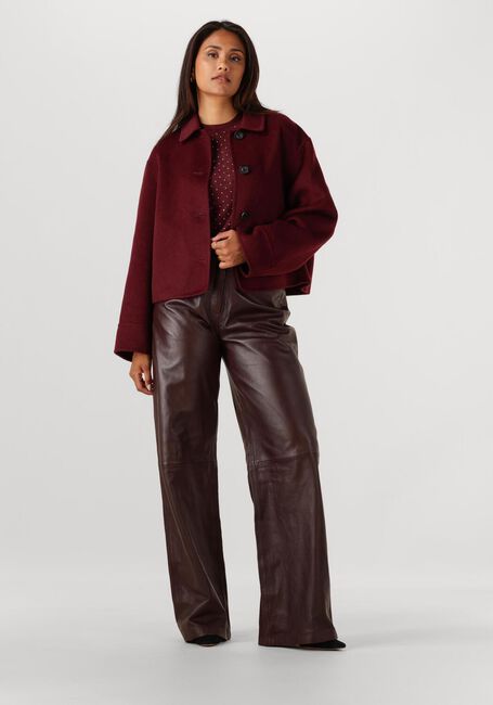 Bordeaux STUDIO AR Teddy jas NICOLINA - large