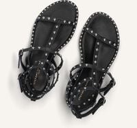 Zwarte STEFANO LAURAN Sandalen 24202 Zwarte STEFANO LAURAN Sandalen 24202 - medium