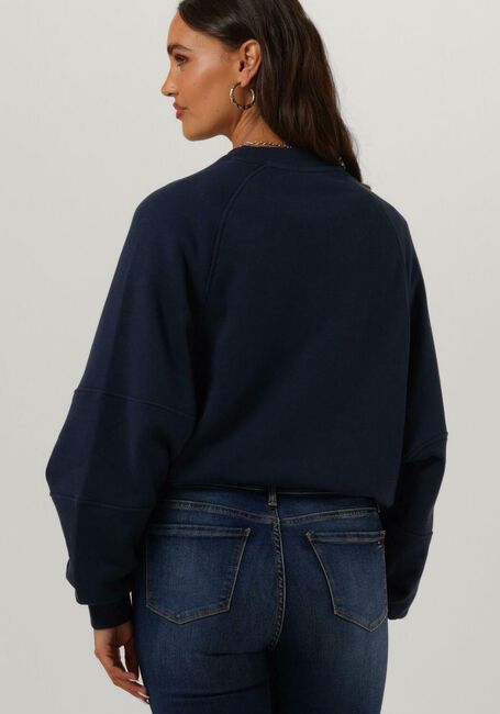 Donkerblauwe TOMMY JEANS Trui RLX WORLDWIDE RAGLAN CREW - large