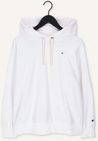 CHAMPION HOODED SWEATSHIRT DMS PLAIN CHAMPION HOODED SWEATSHIRT DMS PLAIN - medium