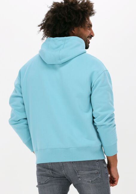 Lichtblauwe TOMMY JEANS Sweater TJM SIGNATURE HOODIE - large