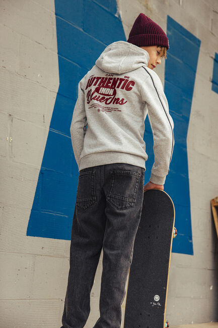 INDIAN BLUE JEANS Chandail HOODIE CHEST AND BACKPRINT Gris clair - large