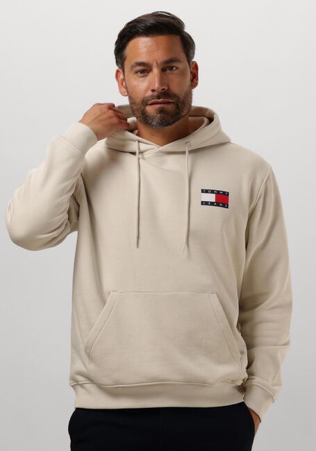 TOMMY JEANS TJM REG ESSENTIAL FLAG HOOD EXT Pulls & Gilets en beige - large