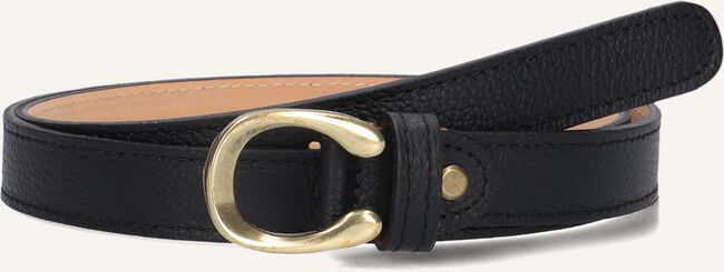 NOTRE-V CECE NOTRE-V CECE - large