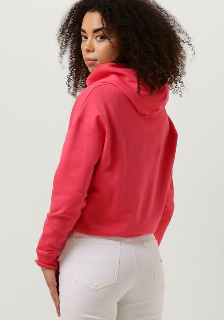 TOMMY JEANS Pull TJW XS BADGE HOODIE en rose - large