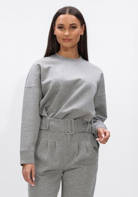 CO'COUTURE LANCE BELT SWEAT Pulls & Gilets en gris - large