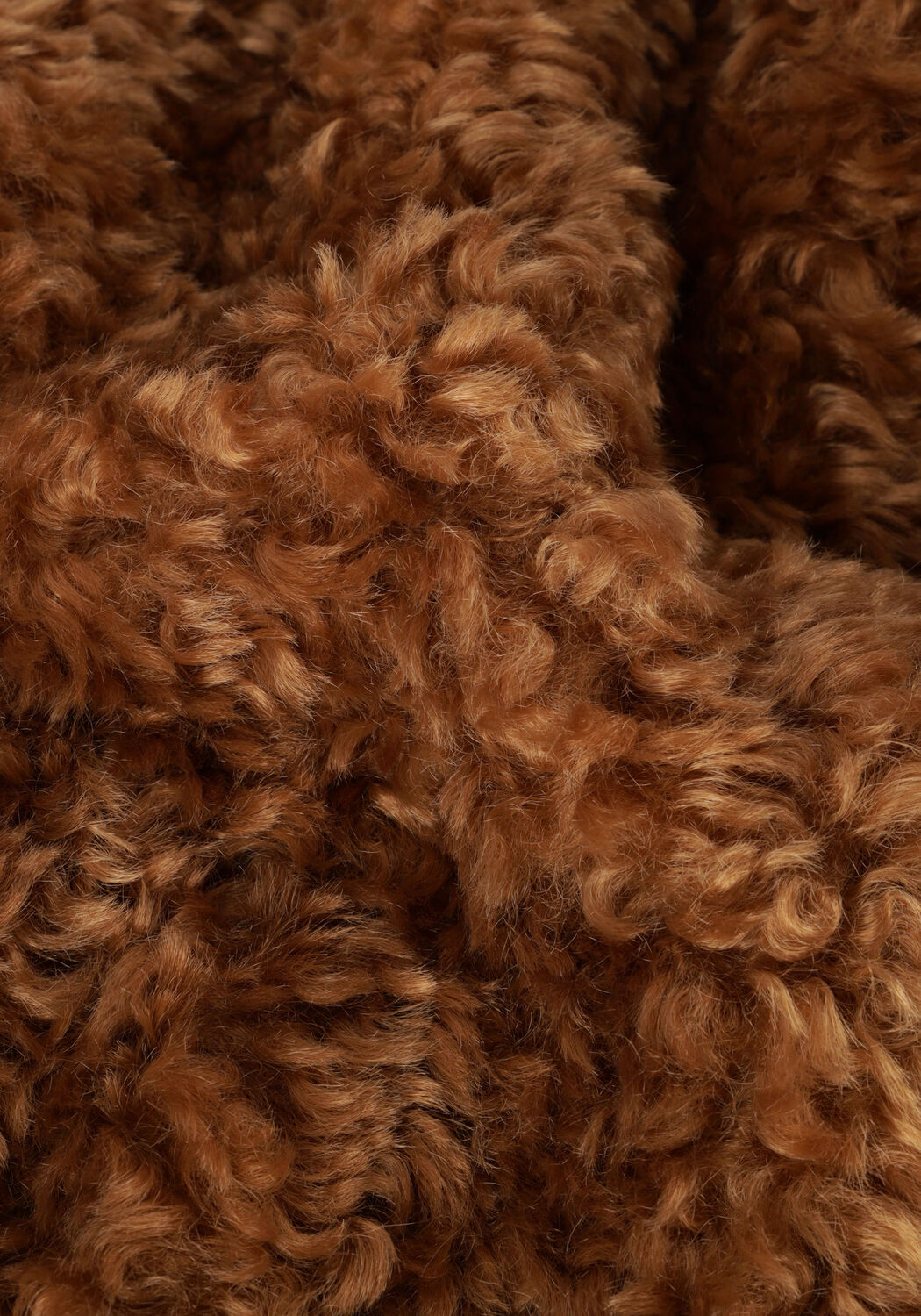 GIACOMO THE JACKET 6512773 - large