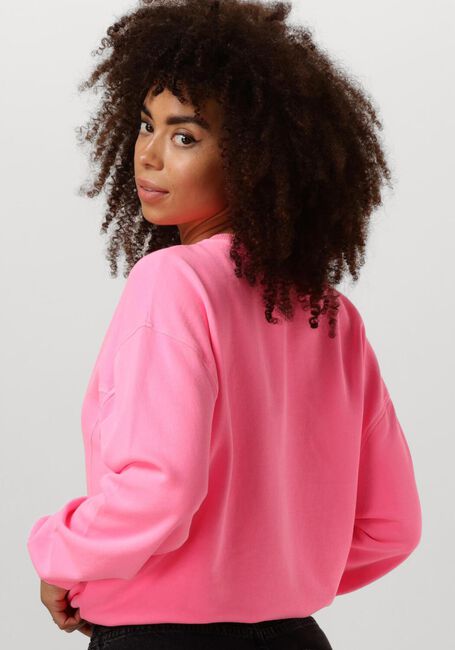 CIRCLE OF TRUST Pull NIKITA SWEAT en rose - large