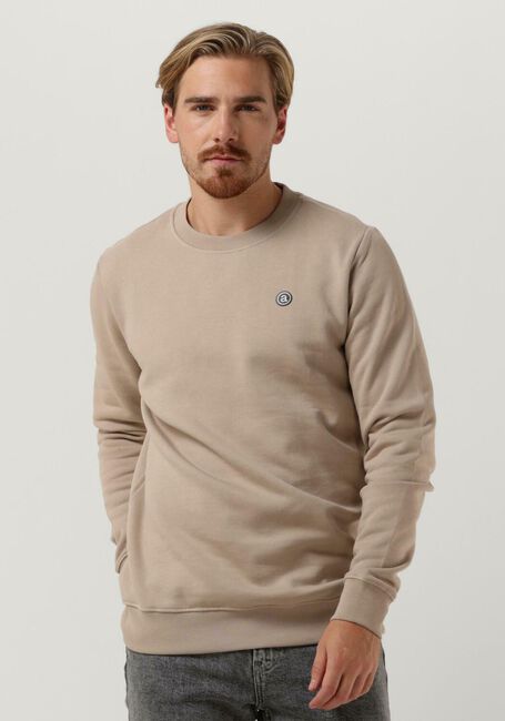 Beige ANERKJENDT Trui AKALLEN NOOS CREWNECK - large