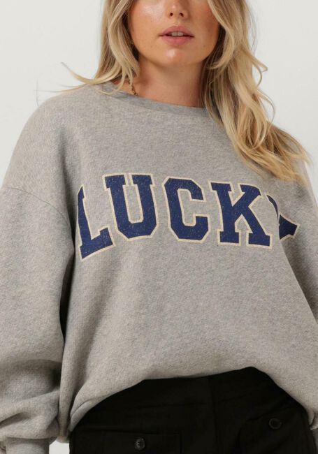 Grijze BY-BAR Sweater BIBI LUCKY VINTAGE SWEATER - large