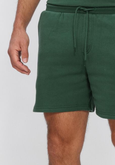 Groene TOMMY JEANS Korte broek TJM S FLAG BEACH SHORT EXT - large